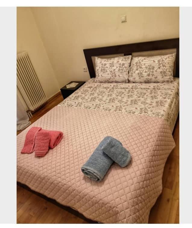 Beauty 5 Minutes From Attractions Apartment Athens